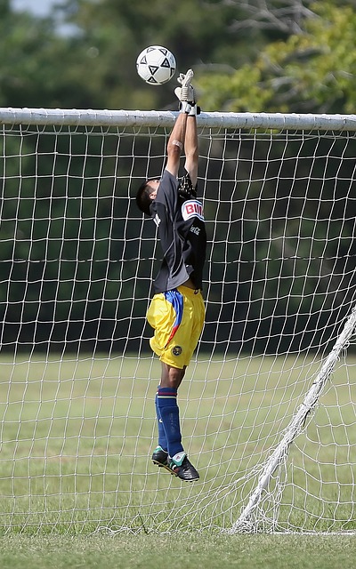 但同时也带 但同时也带