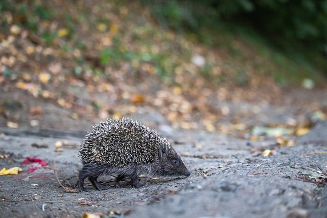 一场比赛从 一场比赛从