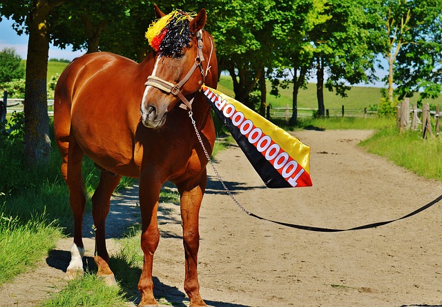 論的焦點之 論的焦點之